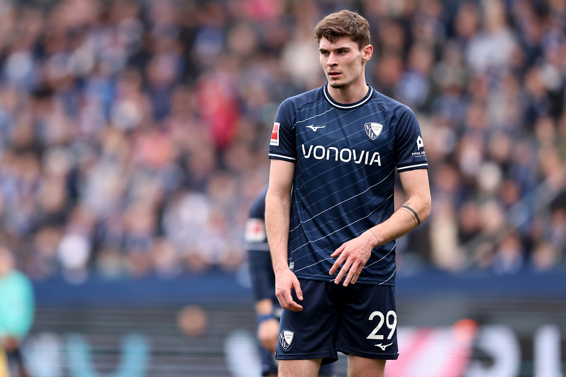 反观雄狮队 反观雄狮队