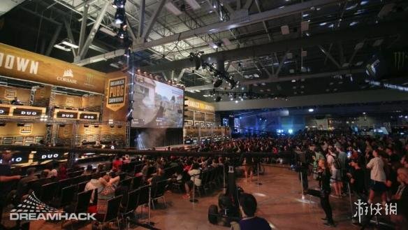 期待郑钦文 期待郑钦文