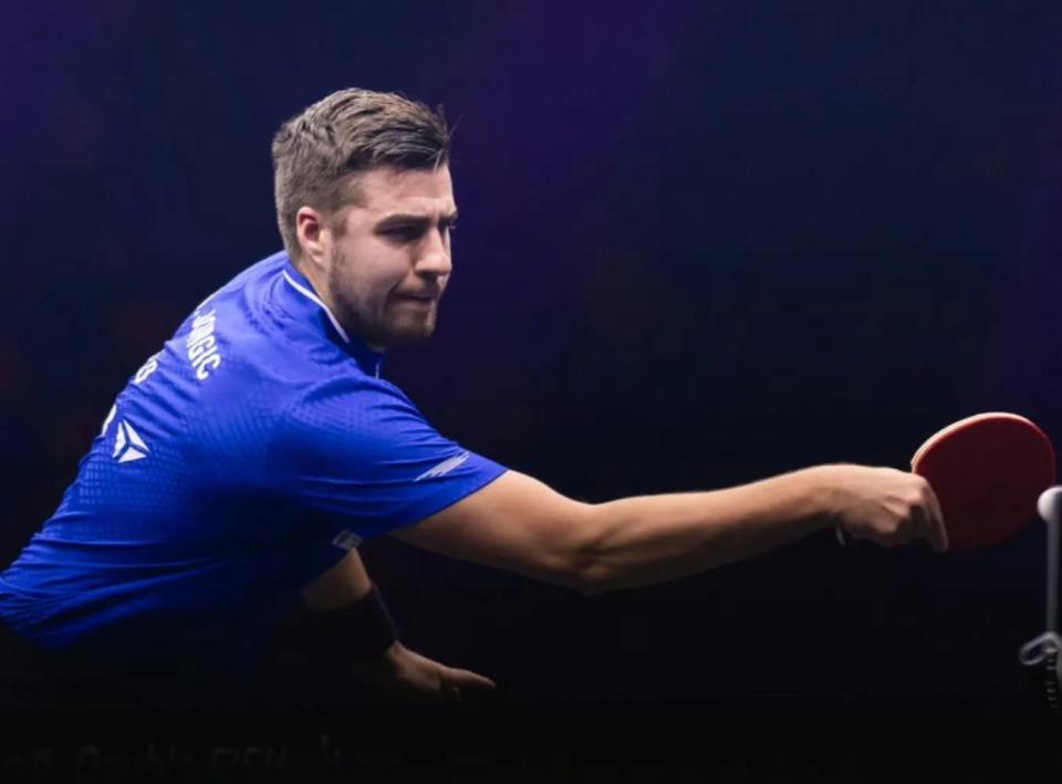 观察回合间 观察回合间